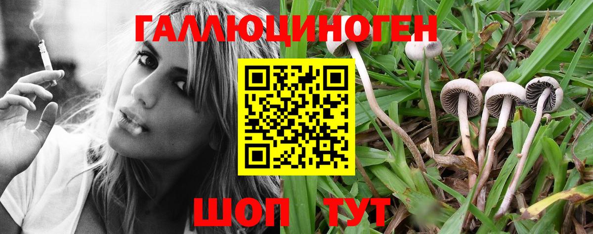 Псилоцибиновые грибы мухоморы Ногинск