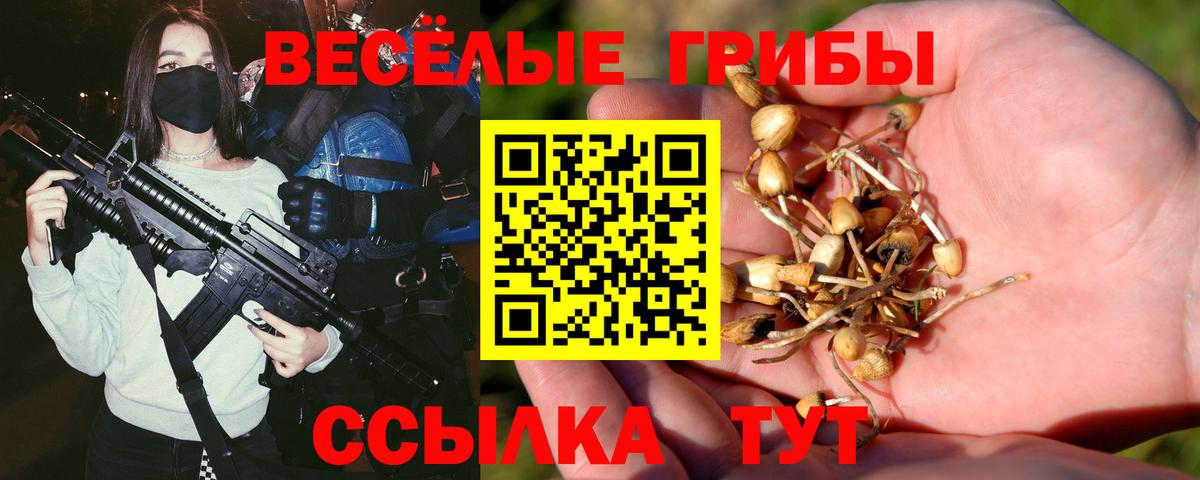 закладки  Галлюциногенные грибы мухоморы  Вход с VPN  Псилоцибиновые грибы мухоморы  Ногинск 
