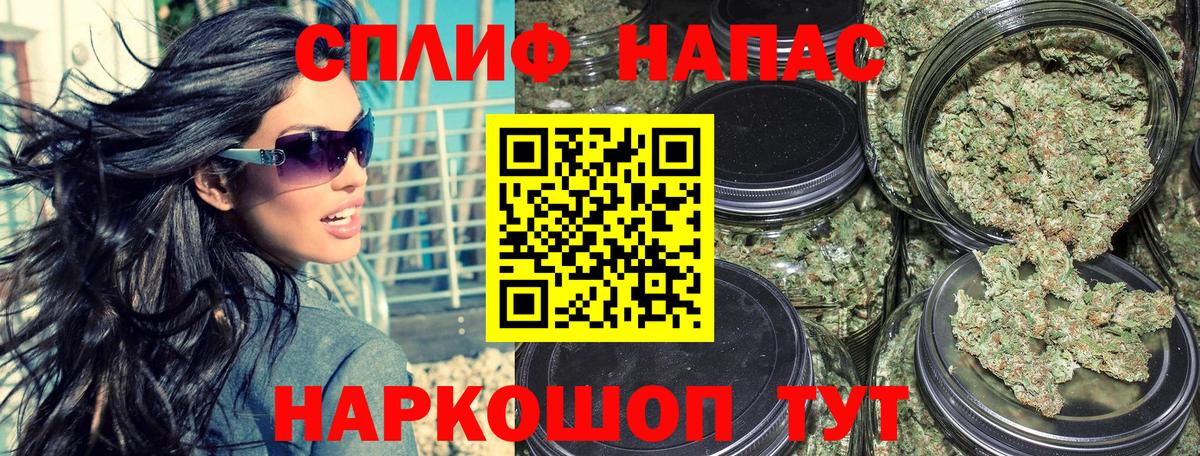 Марихуана сатива Ногинск